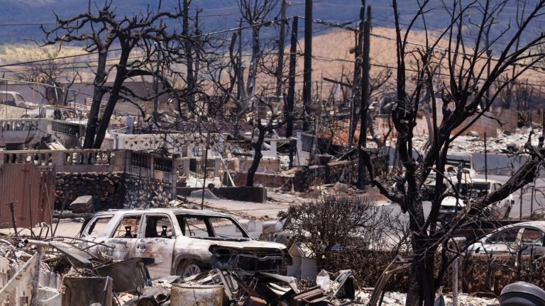 Hawaii governor warns developers against predatory land buying in devastated Lahaina