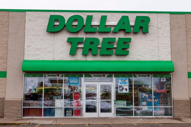21 of the Best Things To Buy at the Dollar Store