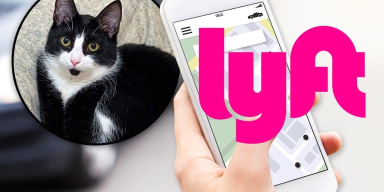 Lyft CEO apologizes for ‘awful’ response to an Austin rider’s missing cat