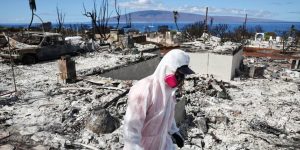 Insurance Stocks Are on a Roll. 6 Picks for the Rally.