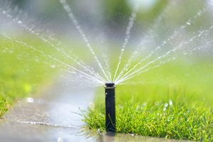 15 Cities Where Watering Your Grass Will Drain Your Wallet