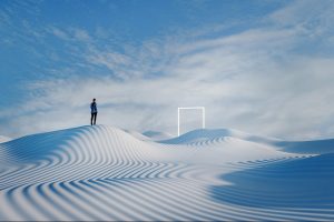 Don’t Just Disrupt Your Industry — Transform It