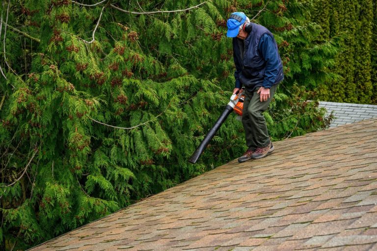 10 Surprising Uses for a Leaf Blower (Every Season of the Year)
