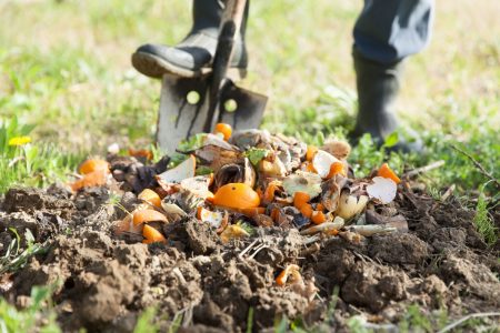The 15 Best Cities in America for Composting and Limiting Waste